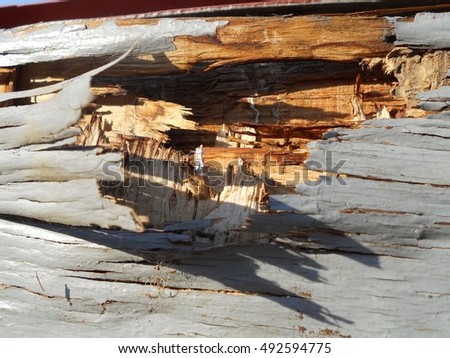 Background texture brown wood, closeup fracture. Fracture consisting of surface tree, natural sample. Tree fractures decorative woods, macro striped, hard decor, fashionable nature structure.