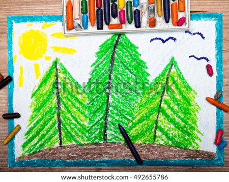 Colorful drawing: Trees on the hill