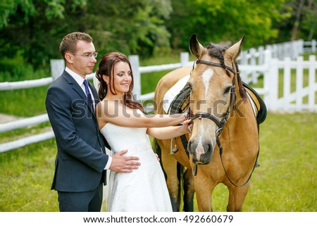 Country wedding. The bride and groom are standing on the green lawn near the stables. They stroked the beautiful thoroughbred horses.