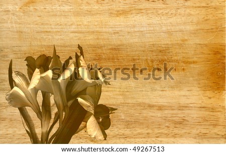 beautiful floral background with wooden texture
