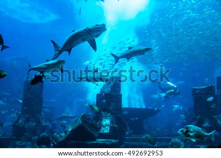 Large aquarium in Dubai, United Arab Emirates