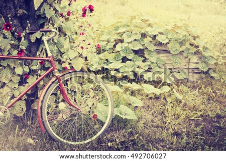 Vintage Bicycle with flowers on autumn landscape background (toned picture)