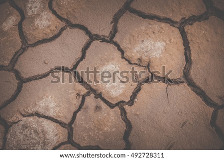 Dry earth ,Cracked texture
