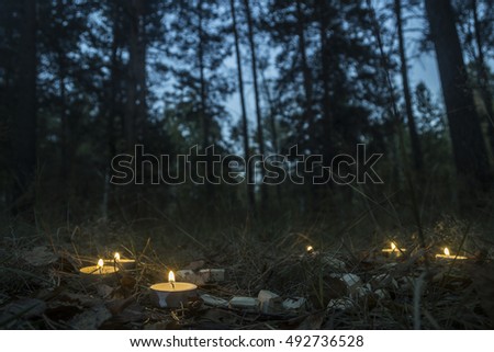  Beautiful halloween composition with candles, tarot, runes and skull in the dark forest. Magic ritual.