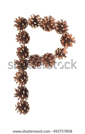 P letter made of pine cone on white