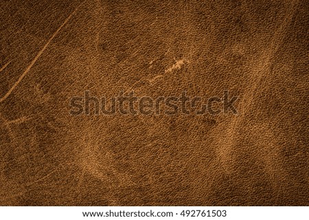Old brown leather background.