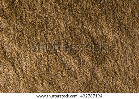 Brown fur background