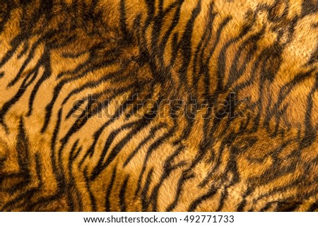 Beautiful tiger fur pattern texture background.