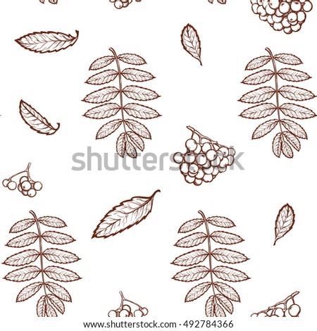 Autumn rowanberry leaves and berries. Detailed intricate hand drawing. Chaotic distribution of elements. Seamless pattern. EPS10 vector illustration.