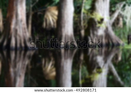 a blurred picture of swamp trees with reflections for background