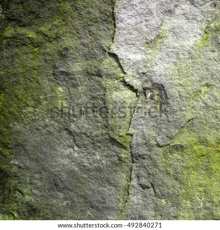 Side view of alien skull in rock background (abstract symbol idea). Royalty-Free Stock Photo #492840271