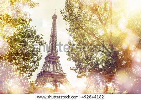 View on Eiffel tower through green summer trees with sunset rays. Beautiful Romantic background. Eiffel Tower from Champ de Mars, Paris, France.