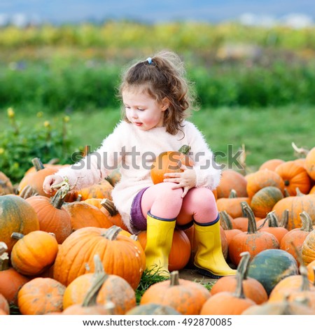 Adorable little kid girl having fun with farming on a pumpkin patch. Traditional family festival with children, thanksgiving and halloween concept. Cute farmer with big vegetables.