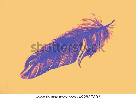 Soft drawing of feather