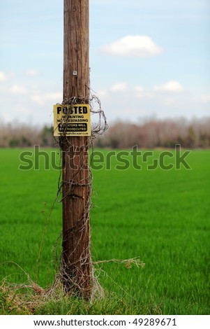 No Trespassing, No Hunting Sign on an old wood telephone pole in front of a grassy field.