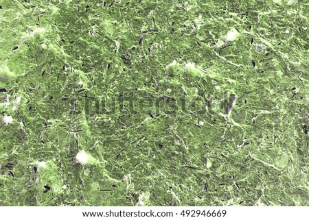 background texture abstract surface wallpaper green mottled white