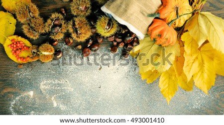 autumn frame , nature concept with copy space