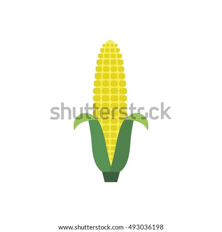 Corn yellow flat icon food natural illustration organic logo vector organic agriculture corning field corncob ear farm  Royalty-Free Stock Photo #493036198
