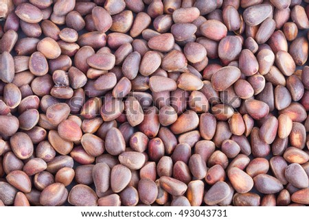 Pine nuts in shells. Background.