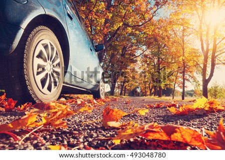 Car on asphalt road on autumnr day at park Royalty-Free Stock Photo #493048780