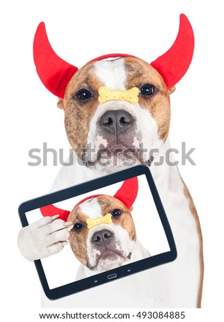 Funny halloween dog with horns and cookie taking a selfie 