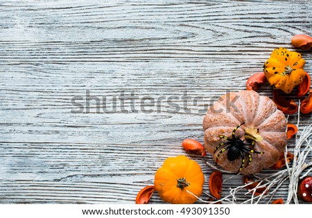 Halloween pumpkins, spiders and various objects on wooden background