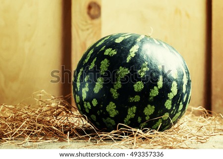 Uncut striped watermelon on a vintage wooden background with hay, selective focus