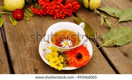 A Cup of herbal tea