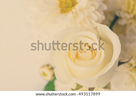 Rose and chrysanthemums flower on soft pastel color in blur style background.