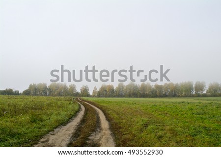 Fields and forests in the fall in Central Russia, country road running along the field