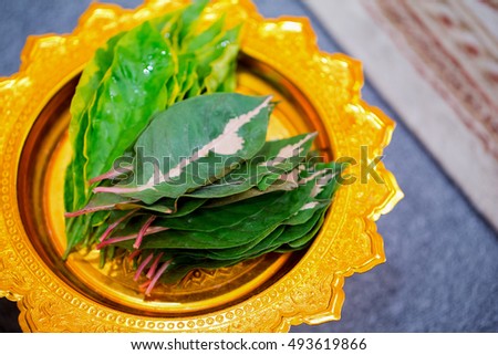The leaves are used in traditional ceremony of Thailand.