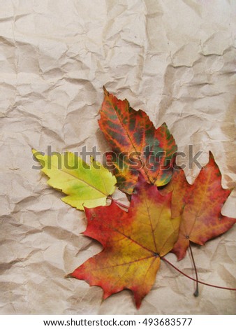 Background with maple leaves and crumpled paper.