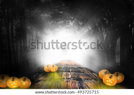 Halloween design - Forest pumpkins in darken. Horror background with autumn valley with woods, spooky tree