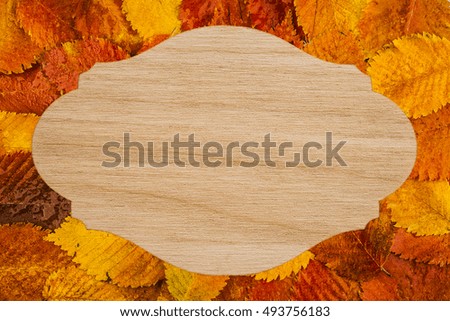 Autumn leaf composition with picture frame. Copy space. empty copy space for objects or inscription