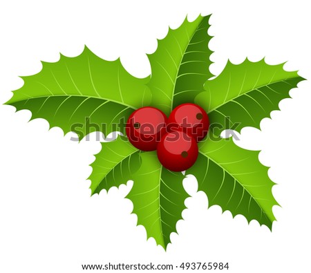 Christmas holly branch decoration vector illustration.