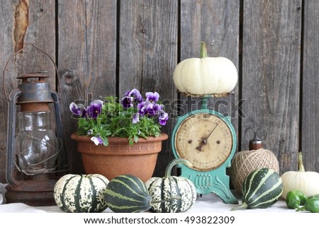 Still life with clay, ceramic pot with purple pansies, old rusty oil lamp, small white and green pumpkins, vintage rustic mint scale, wooden spool with twine, scissors on dark wooden background