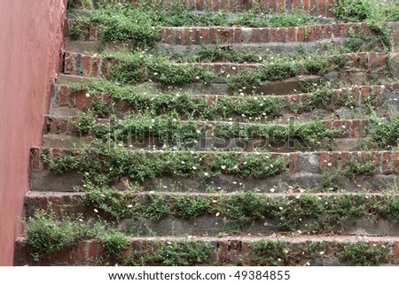 Close-up of ancient stone stair with flowers growing on it.