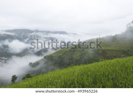 Tropical forest and mountain in the mist in Vietnam.
