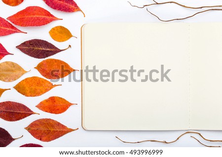 Open notepad with autumn leaves on a white background. Flat lay, Top view