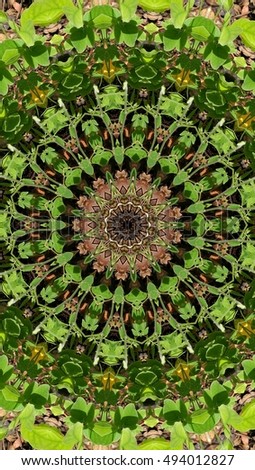 kaleidoscope pattern nature design