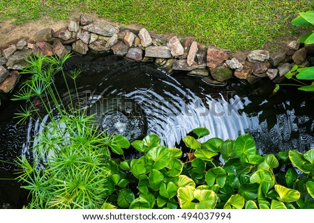 Decorative pond with fountain and gold fish in garden