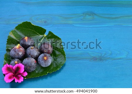 Seven ripe blue figs and pink flower on big mulberry leaf over blue wooden background with copy space, view from above