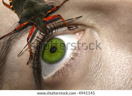 eye to eye with a horrifying bug