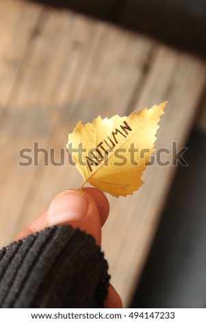 Autumn idea. Leaf and inscription. Soft focus.