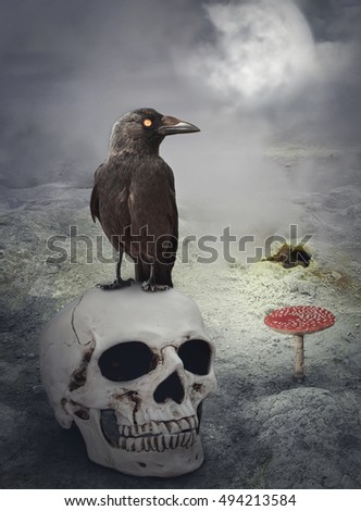Halloween mystical spooky background with crow on the skull