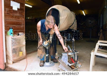 Female Farrier at work, shoeing a hunting horse Royalty-Free Stock Photo #494284657