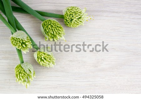 Bunch of green onions with the seeds on the table