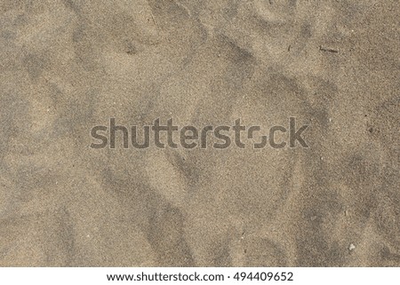Beach sand closeup for background. Tropical beach macro photo. Exotic island sandy beach texture. Sand surface backdrop for vacation template, holiday card or banner. Seaside sand surface picture