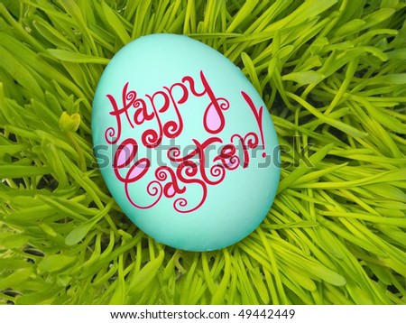 easter egg in fresh spring grass / blue pink