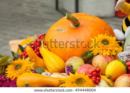 Pumpkins on the seasonal market in Latvia